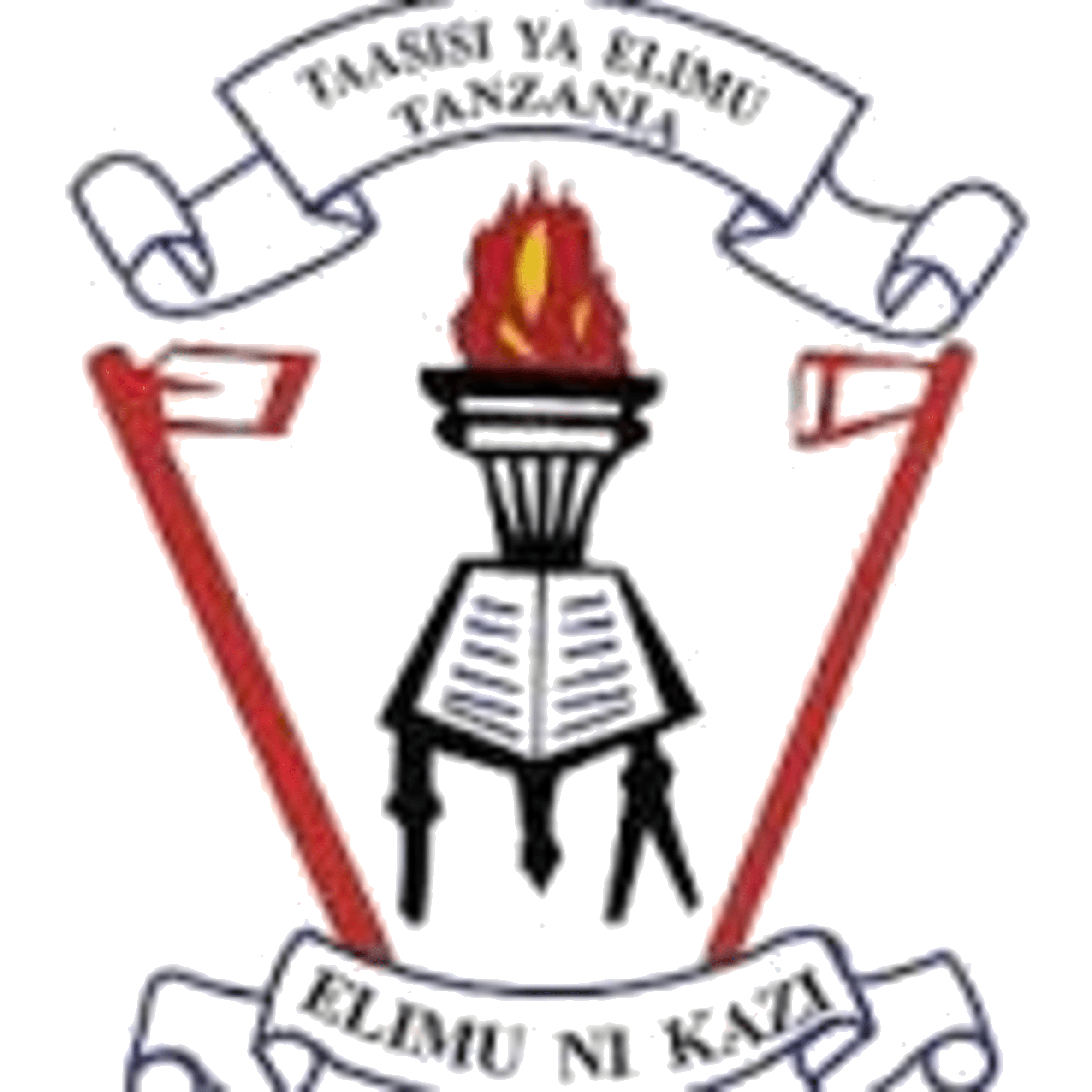 Tanzania Institute of Education